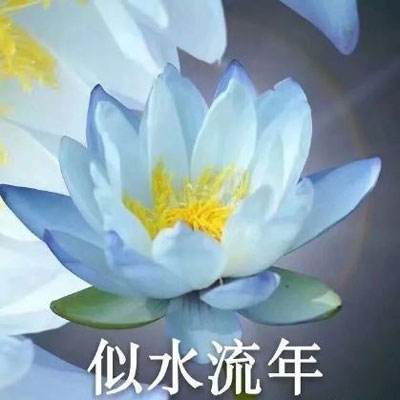 壹乐娱乐app官方网站