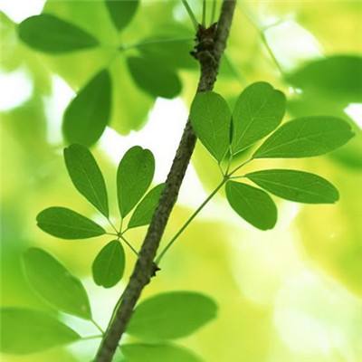 游戏驿站营收下滑 数字转型加速